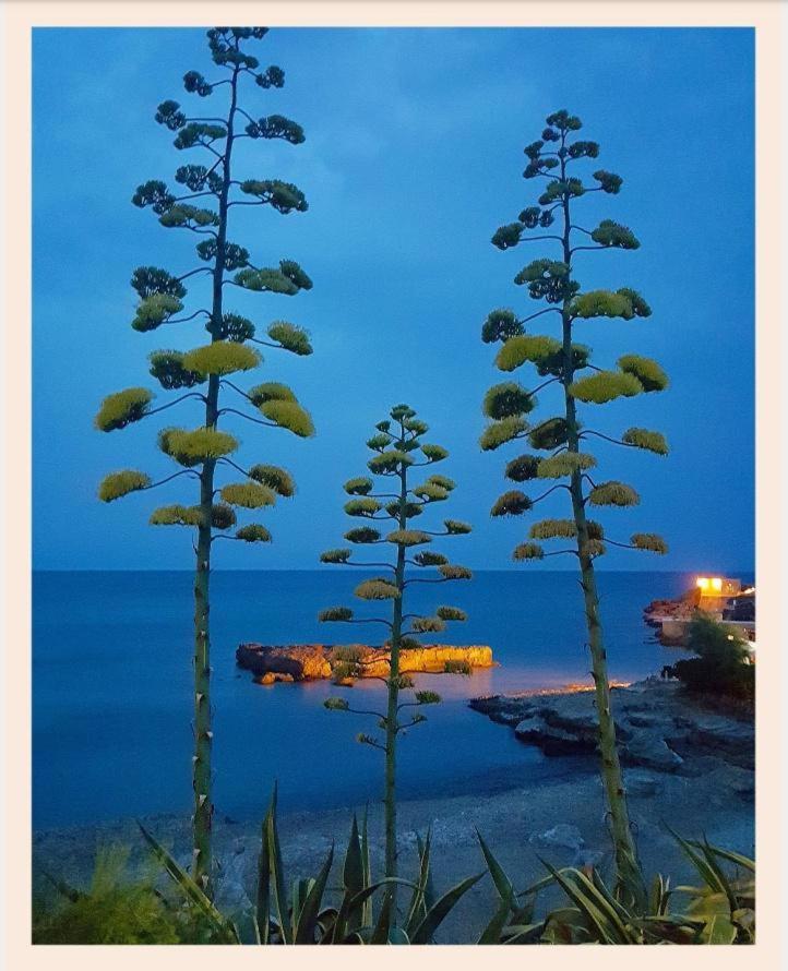 Villa La Rucchetta Alghero Eksteriør billede