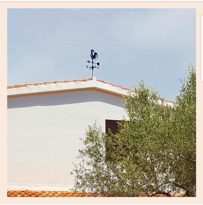 Villa La Rucchetta Alghero Eksteriør billede